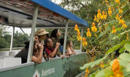 Tour Caño Negro