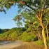 Peninsula Papagayo